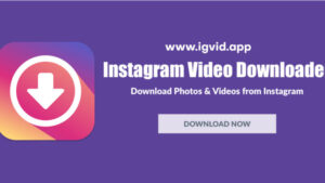 How to Download Instagram Video